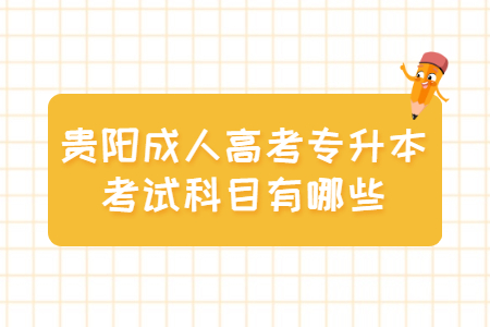 贵阳成人高考专升本考试科目有哪些?