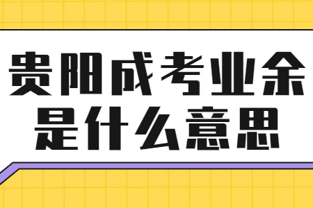 贵阳成考业余是什么意思?